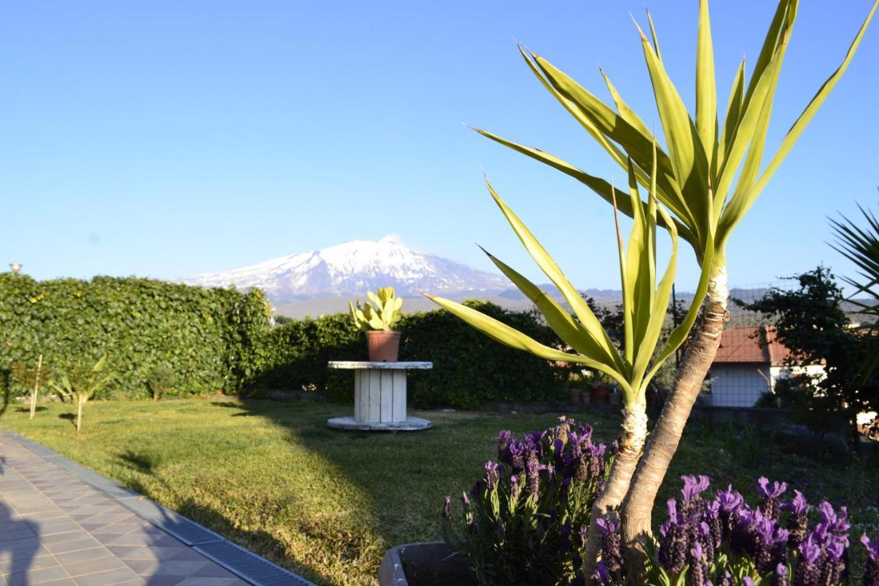 ブロンテ Good Morning Etna Bed & Breakfast エクステリア 写真