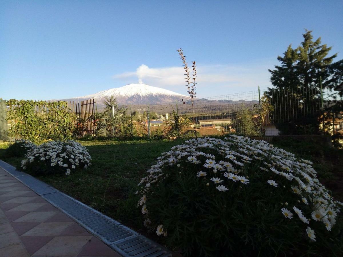 ブロンテ Good Morning Etna Bed & Breakfast エクステリア 写真
