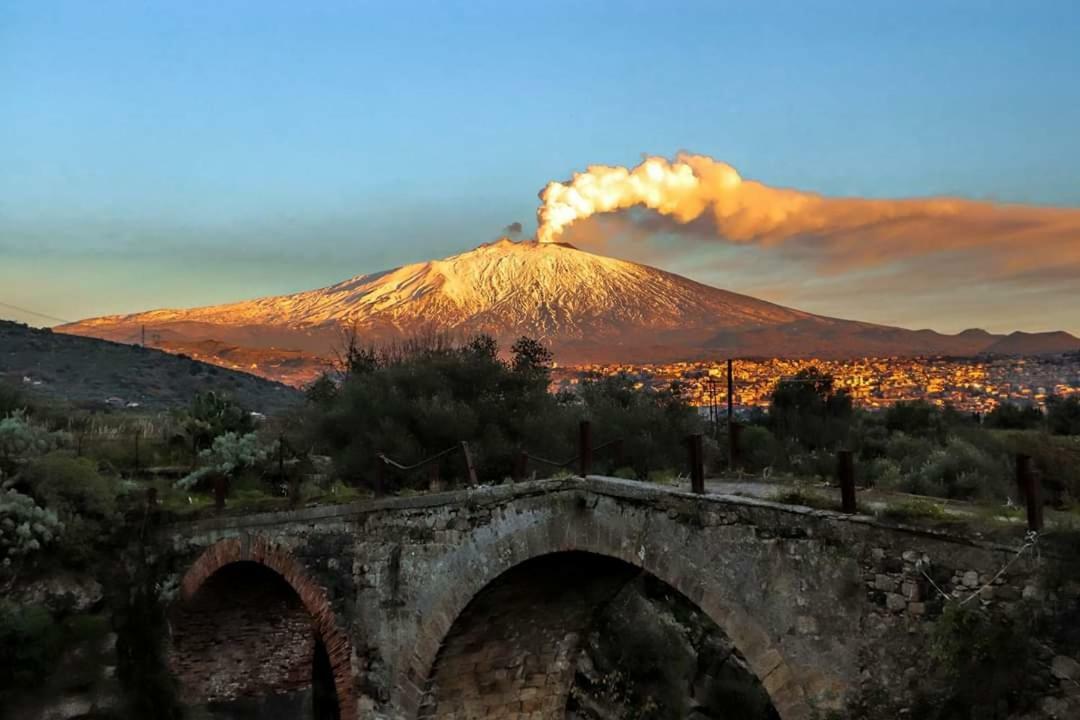 ブロンテ Good Morning Etna Bed & Breakfast エクステリア 写真